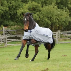 Equestrian Supplies Store -Equestrian Supplies Store 5 643865