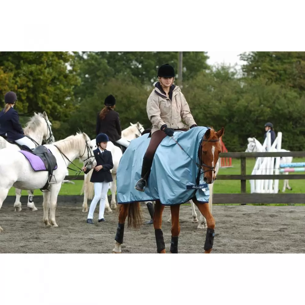 Bucas Rain Protector Horse Sheet 4 Bucas Rain Protector Horse Sheet - Image 2