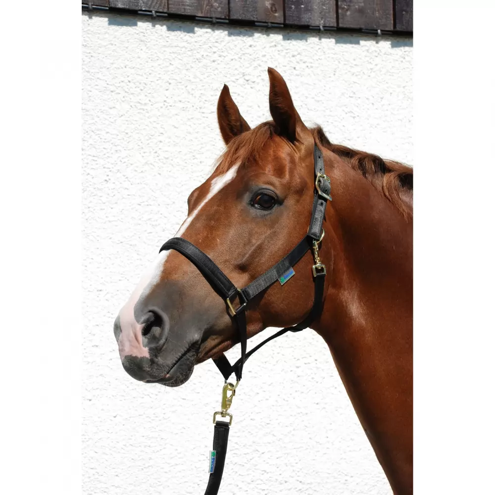 Bucas Dublin Halter 3 Bucas Dublin Halter