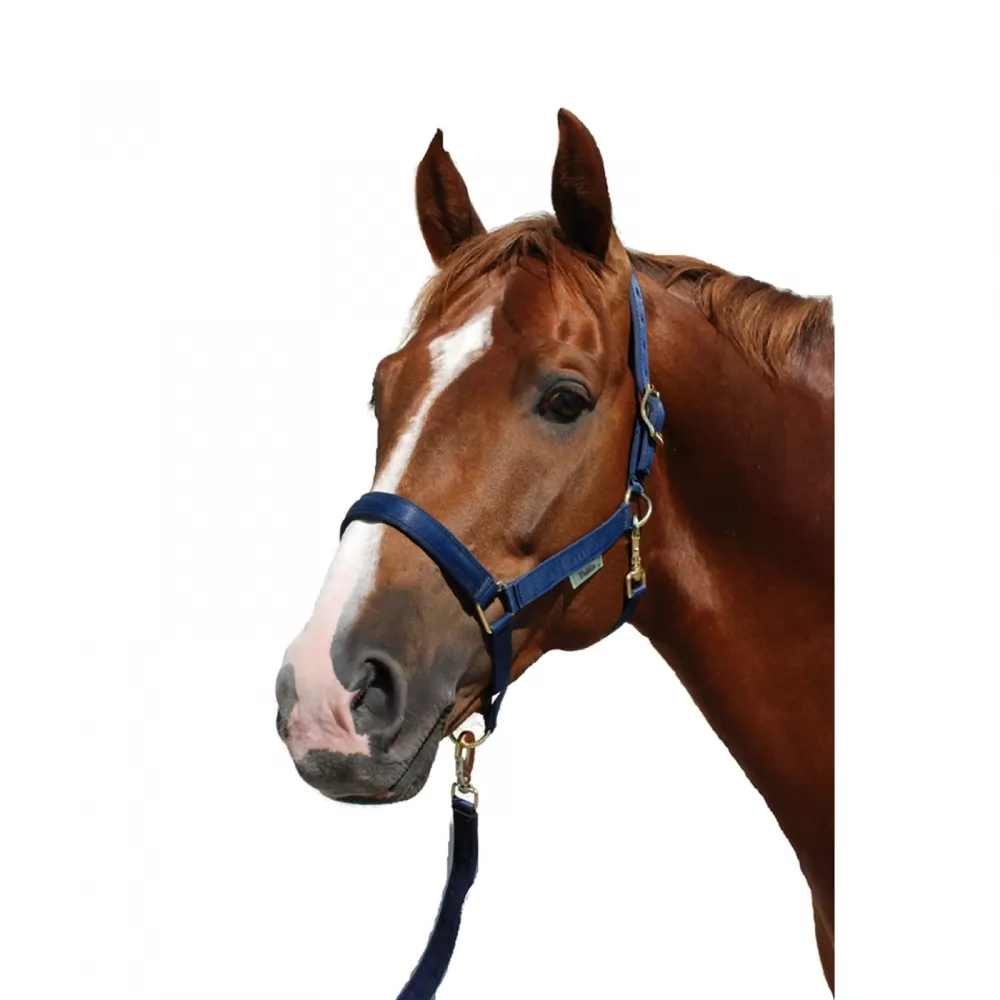 Bucas Dublin Halter 4 Bucas Dublin Halter - Image 2