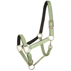 Gatsby Leather Padded Adjustable Nylon Halter -Equestrian Supplies Store 5 650146