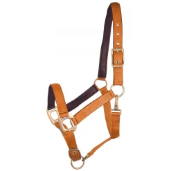 Gatsby Leather Padded Adjustable Nylon Halter -Equestrian Supplies Store 5 650149