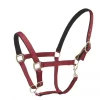 Centaur Cushion Web Breakaway Halter -Equestrian Supplies Store 5 656229