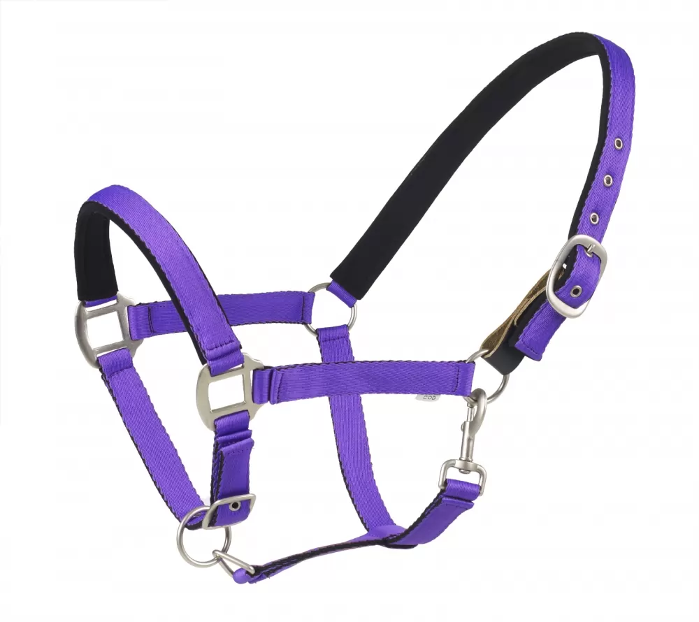 Centaur Cushion Web Breakaway Halter 4 Centaur Cushion Web Breakaway Halter - Image 2