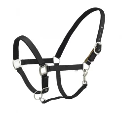 Centaur Cushion Web Breakaway Halter 10 Centaur Cushion Web Breakaway Halter -Equestrian Supplies Store 5 656231