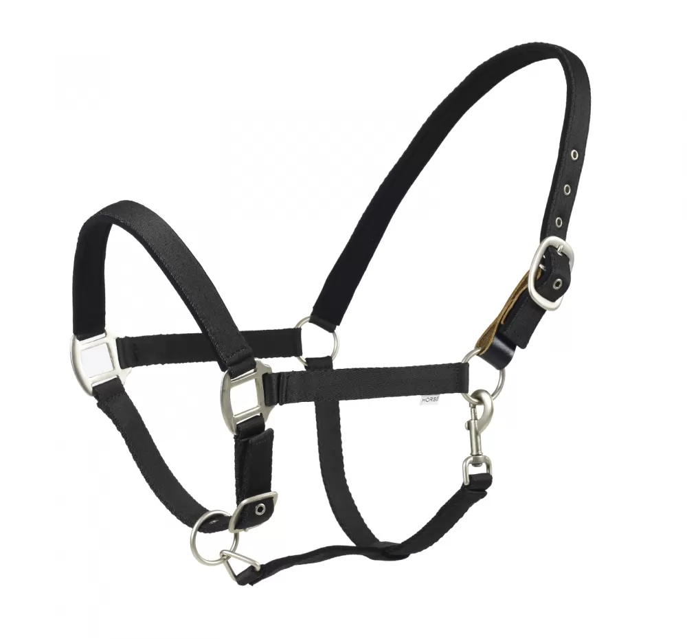 Centaur Cushion Web Breakaway Halter 5 Centaur Cushion Web Breakaway Halter - Image 3