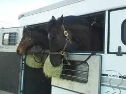 Freedom Feeder Trailer/Mini 1.5 Slow Feeding Net 7 Freedom Feeder Trailer/Mini 1.5 Slow Feeding Net -Equestrian Supplies Store 5 656956 3