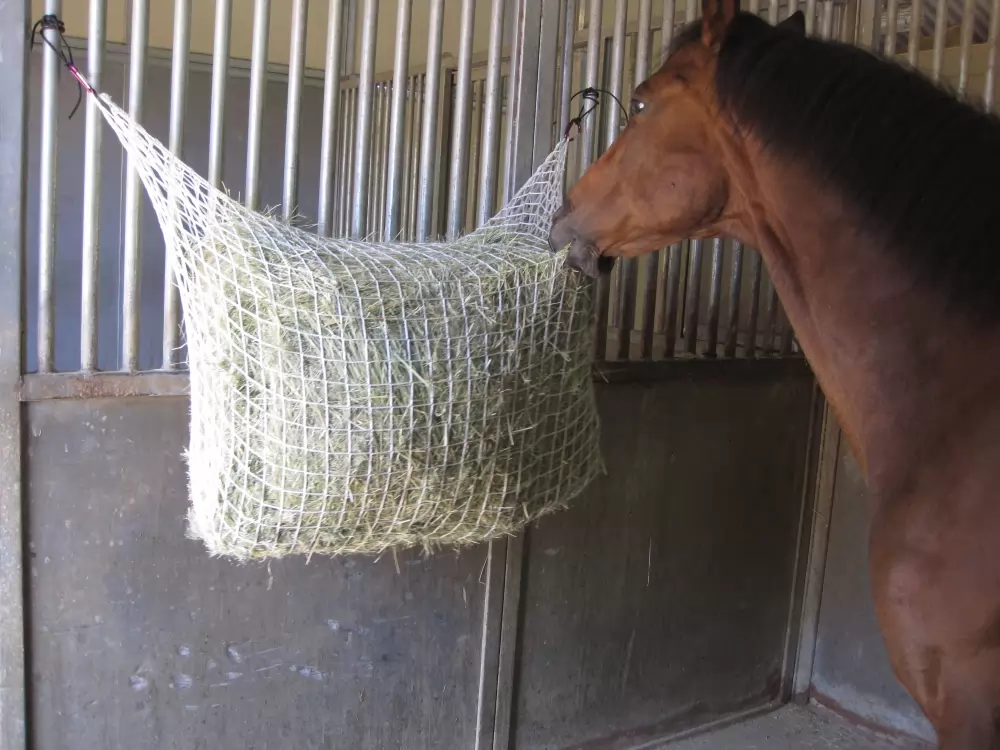Freedom Feeder Extended Day Feeding Net/2 String Bale 4 Freedom Feeder Extended Day Feeding Net/2 String Bale - Image 2