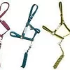 Amigo Halter 2 Amigo Halter -Equestrian Supplies Store 5 660852