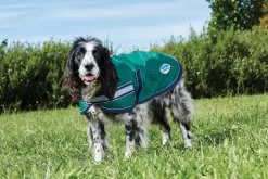 Equestrian Supplies Store -Equestrian Supplies Store 5 687104 1