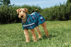 Weatherbeeta Parka 1200D Dog Coat -Equestrian Supplies Store 5 687104 2