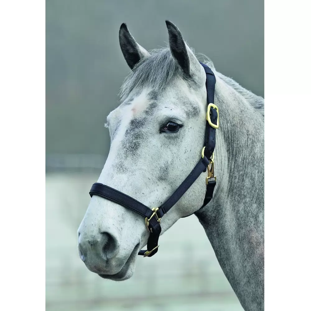 Shires Topaz Nylon Halter 4 Shires Topaz Nylon Halter - Image 2