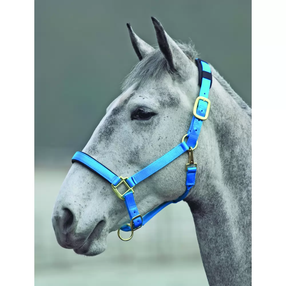 Shires Topaz Nylon Halter 5 Shires Topaz Nylon Halter - Image 3