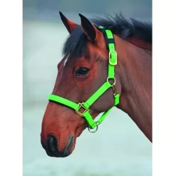 Shires Topaz Nylon Halter 25 Shires Topaz Nylon Halter -Equestrian Supplies Store 5 698830