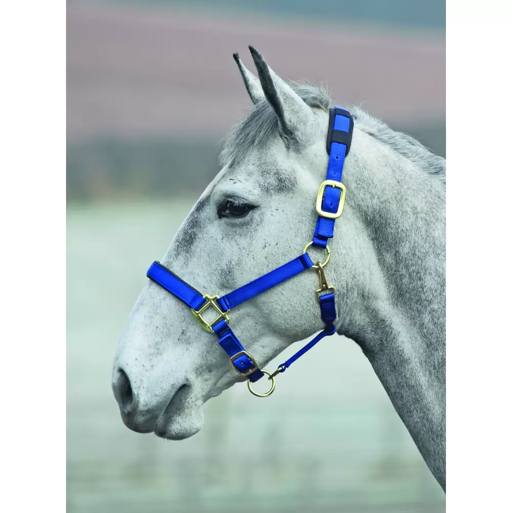 Shires Topaz Nylon Halter 7 Shires Topaz Nylon Halter - Image 5