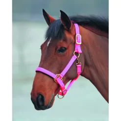 Shires Topaz Nylon Halter 27 Shires Topaz Nylon Halter -Equestrian Supplies Store 5 698833