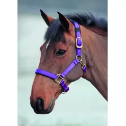 Shires Topaz Nylon Halter 28 Shires Topaz Nylon Halter -Equestrian Supplies Store 5 698834