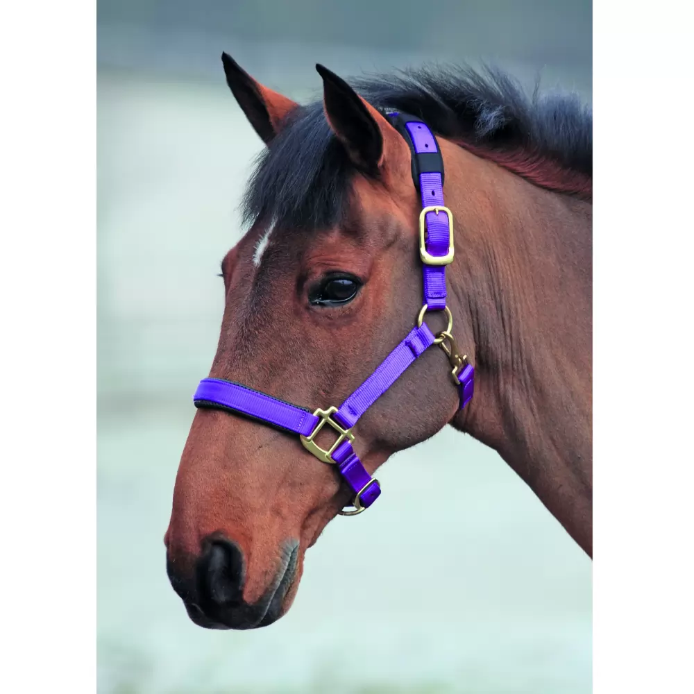 Shires Topaz Nylon Halter 9 Shires Topaz Nylon Halter - Image 7