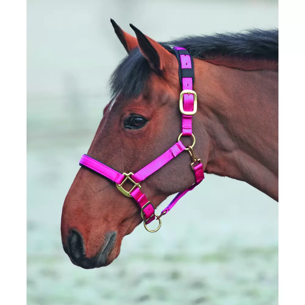 Shires Topaz Nylon Halter 10 Shires Topaz Nylon Halter - Image 8