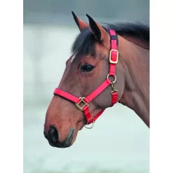 Shires Topaz Nylon Halter 30 Shires Topaz Nylon Halter -Equestrian Supplies Store 5 698836