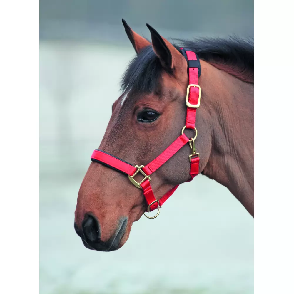 Shires Topaz Nylon Halter 11 Shires Topaz Nylon Halter - Image 9
