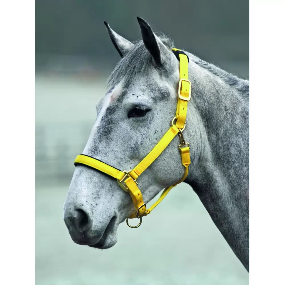 Shires Topaz Nylon Halter 12 Shires Topaz Nylon Halter - Image 10
