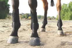 Professionals Choice Pro Performance Show Boots - Front