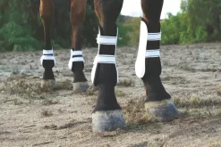 Professionals Choice Pro Performance Show Boots - Front, TPU Fasteners -Equestrian Supplies Store 5 721670