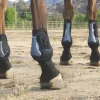 Professionals Choice Pro Performance Show Boots - Rear 2 Professionals Choice Pro Performance Show Boots - Rear -Equestrian Supplies Store 5 721671