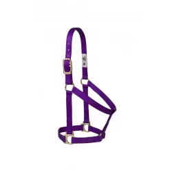 Weaver Basic Non-Adjustable 1" Nylon Halter -Equestrian Supplies Store 5 722869
