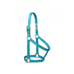 Weaver Basic Non-Adjustable 1" Nylon Halter -Equestrian Supplies Store 5 722870