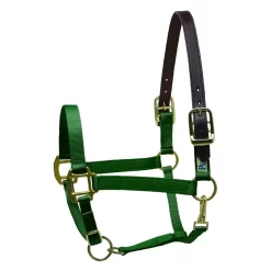 Perris Premium Nylon Safety Halter -Equestrian Supplies Store 5 738708