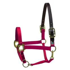 Perris Premium Nylon Safety Halter -Equestrian Supplies Store 5 738709