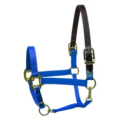 Perris Premium Nylon Safety Halter -Equestrian Supplies Store 5 738710