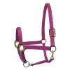 Perris Nylon SuperHalter