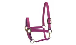 Perris Nylon SuperHalter