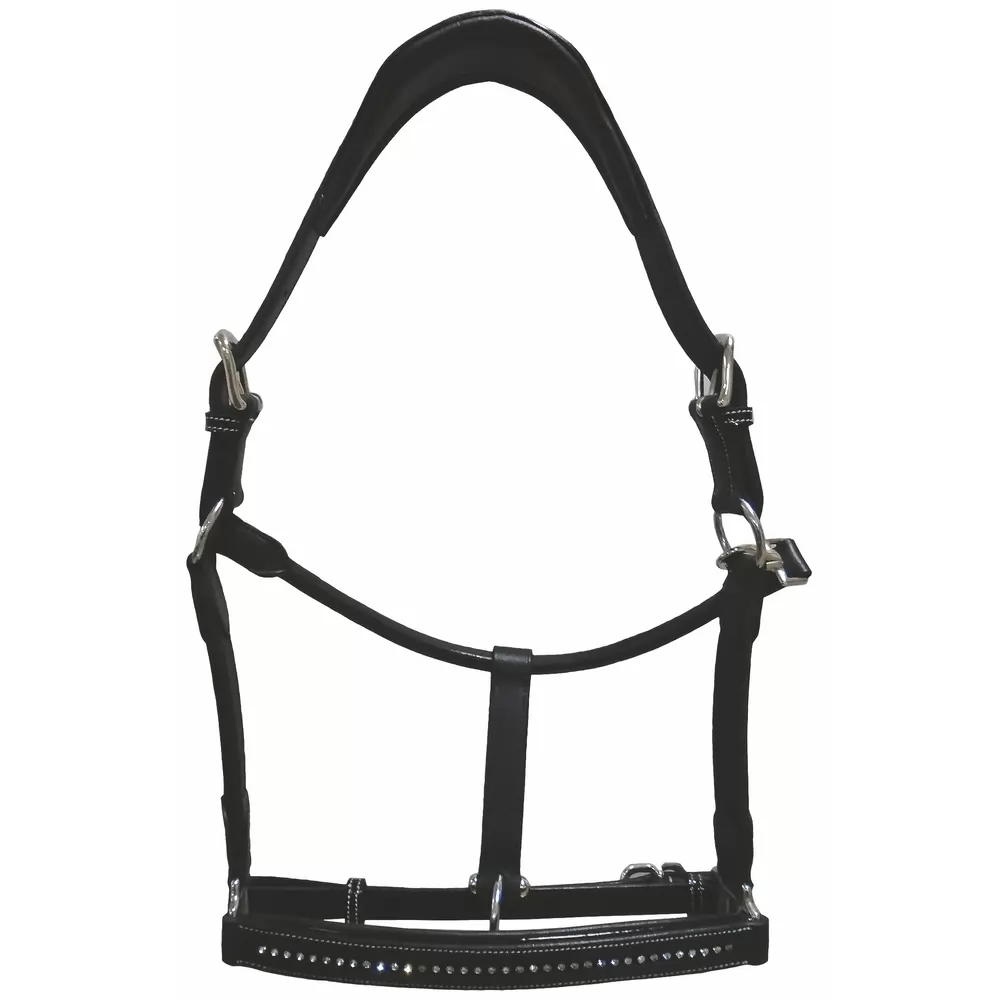 Henry De Rivel Padded Crystal Halter 6 Henry De Rivel Padded Crystal Halter - Image 4