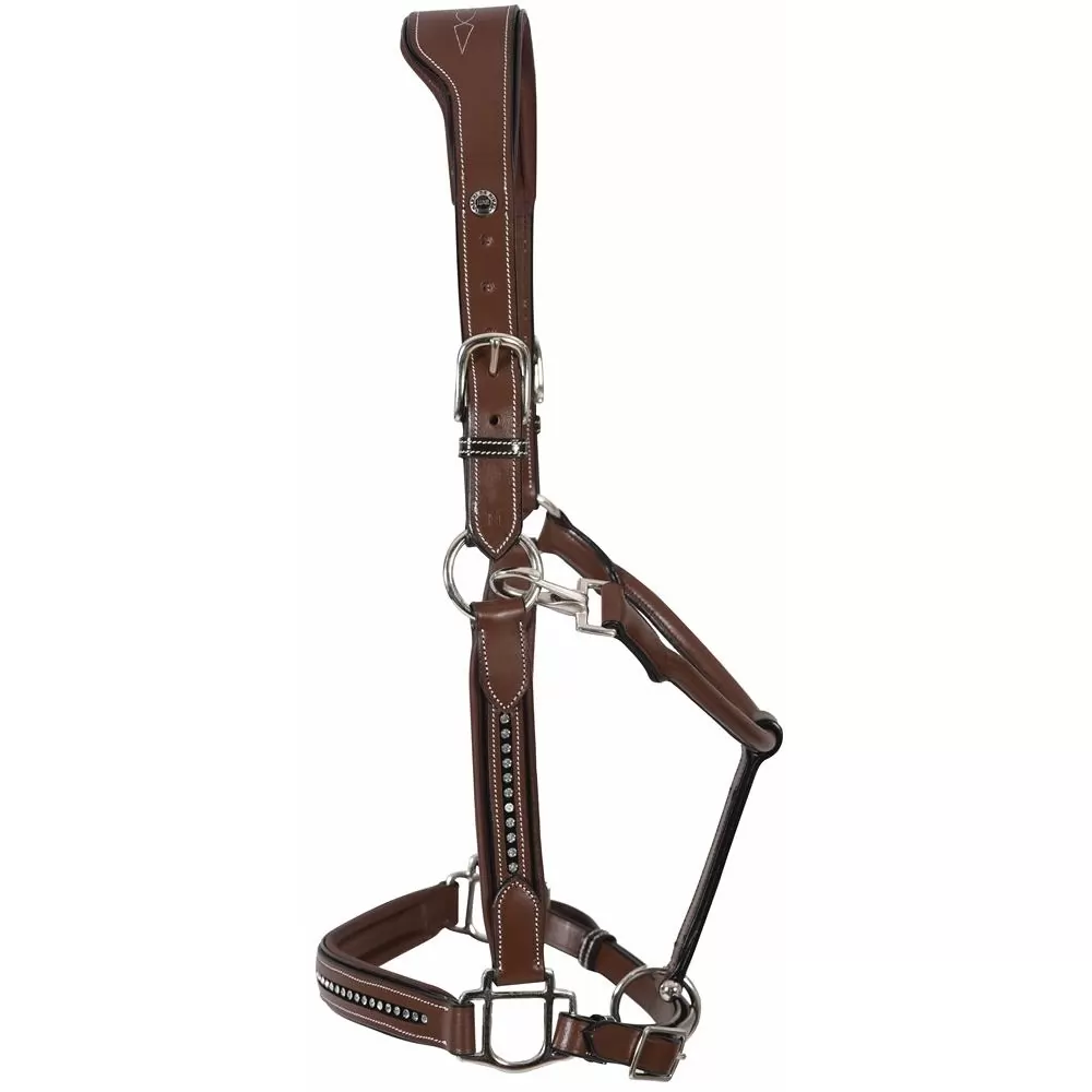 Henry De Rivel Padded Crystal Halter 4 Henry De Rivel Padded Crystal Halter - Image 2