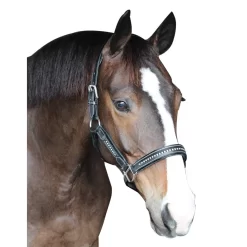 Henry De Rivel Padded Crystal Halter 9 Henry De Rivel Padded Crystal Halter -Equestrian Supplies Store 5 805279