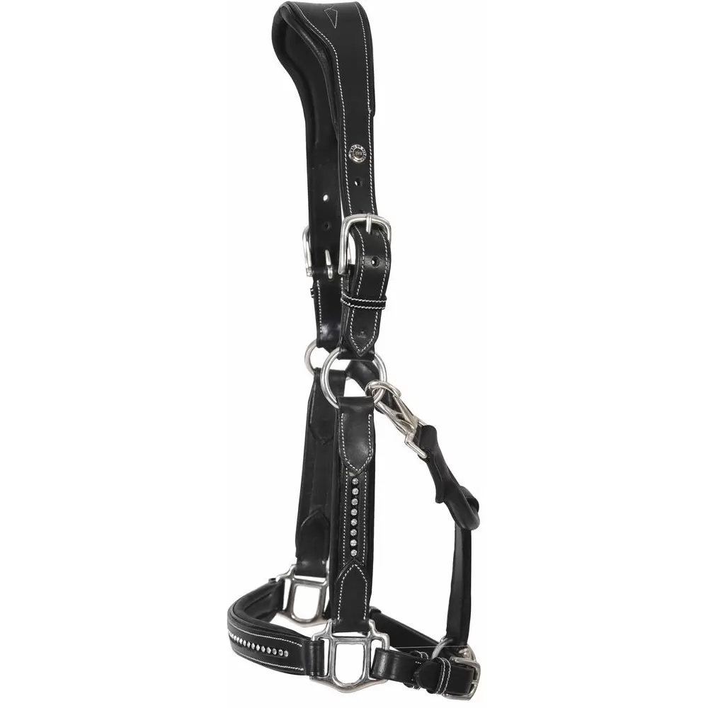 Henry De Rivel Padded Crystal Halter 7 Henry De Rivel Padded Crystal Halter - Image 5