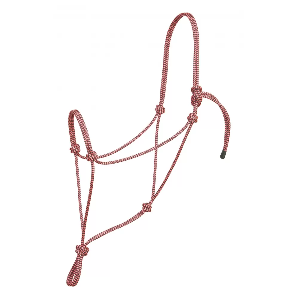 Weaver Leather Silvertip Big Sky Rope Halter 10 Weaver Leather Silvertip Big Sky Rope Halter - Image 8