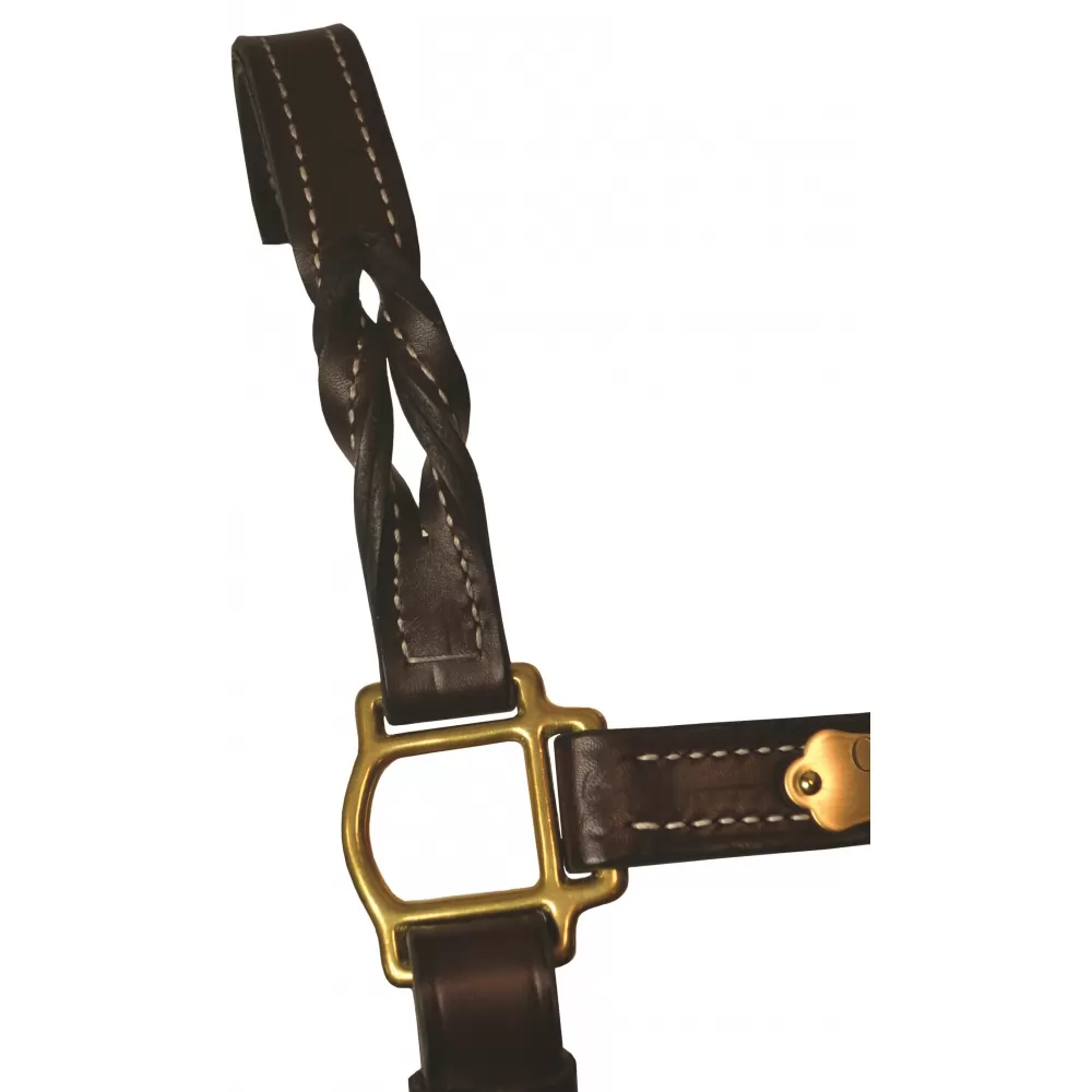 Perri's Twisted Leather Halter 4 Perri's Twisted Leather Halter - Image 2