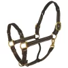 Perri's Twisted Leather Halter 1 Perri's Twisted Leather Halter -Equestrian Supplies Store 5 814704