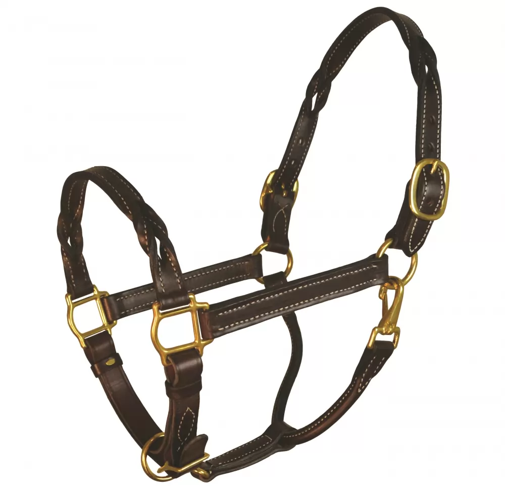 Perri's Twisted Leather Halter 3 Perri's Twisted Leather Halter