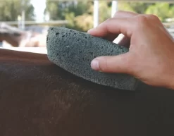 Tail Tamer Groomer'S Stone