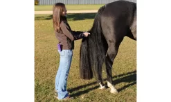 Trophy Tail Western 3-Way Tail Extension 15 Trophy Tail Western 3-Way Tail Extension -Equestrian Supplies Store 5 822656 2
