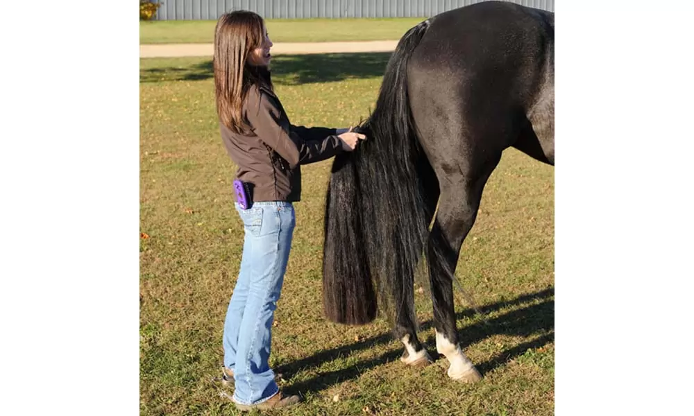 Trophy Tail Western 3-Way Tail Extension 6 Trophy Tail Western 3-Way Tail Extension - Image 4