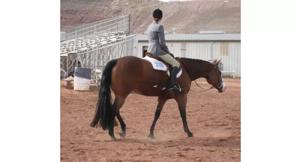 Trophy Tail Western 3-Way Tail Extension 7 Trophy Tail Western 3-Way Tail Extension - Image 5