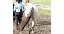 Trophy Tail Western 3-Way Tail Extension 17 Trophy Tail Western 3-Way Tail Extension -Equestrian Supplies Store 5 822656 4