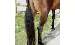Trophy Tail Hunter Tail Extension -Equestrian Supplies Store 5 822666